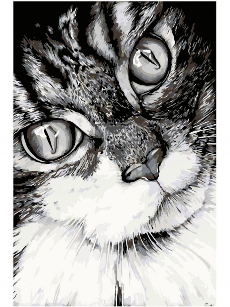 Кот арт