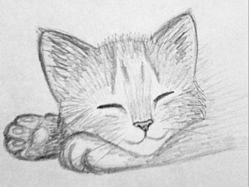 Котики карандашом легкие