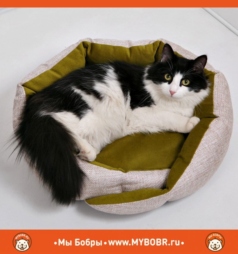 Лежанка для кота