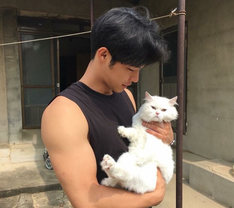 Корейские парни с котиками