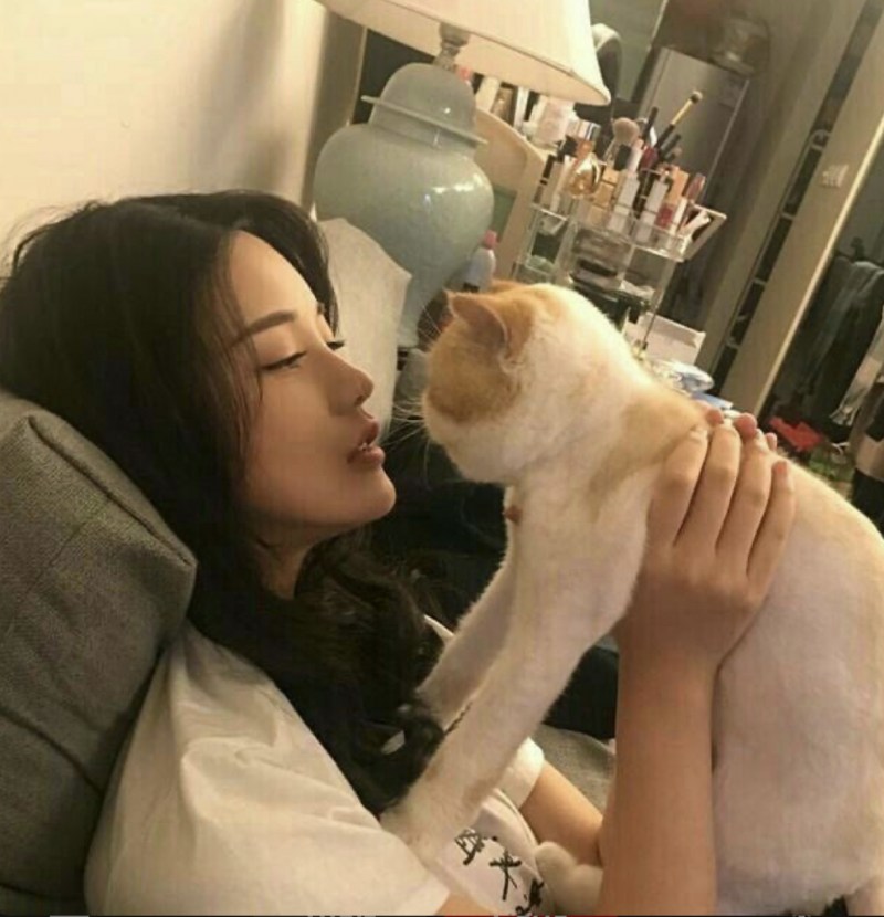Кореянки с кошками селфи