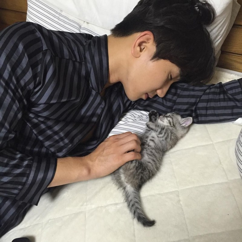 Кореец с котом