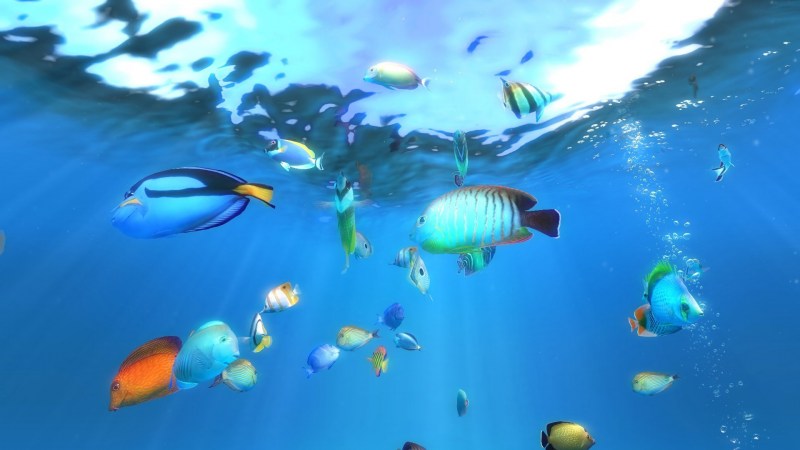 Плавающие рыбки на экране - картинки и фото koshka.top