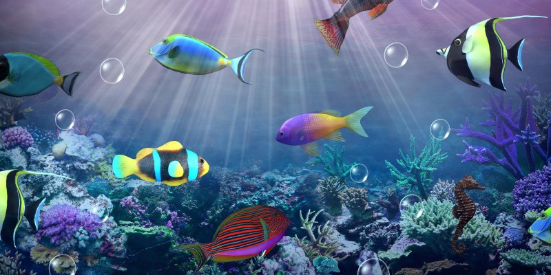 Плавающие рыбки на экране - картинки и фото koshka.top