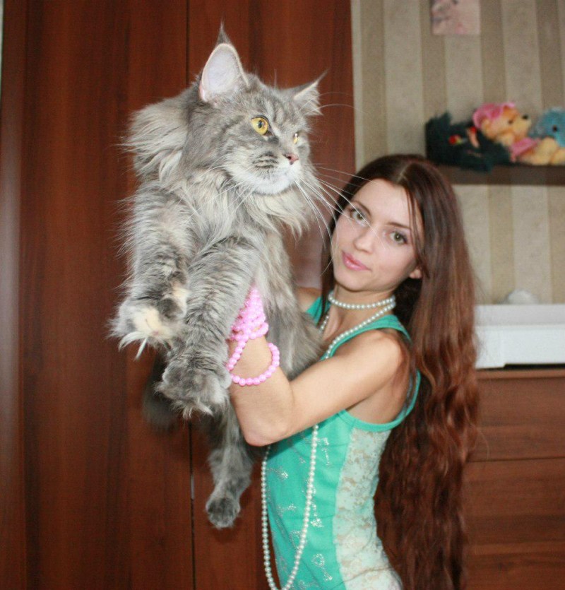 Мейкун девочка взрослая