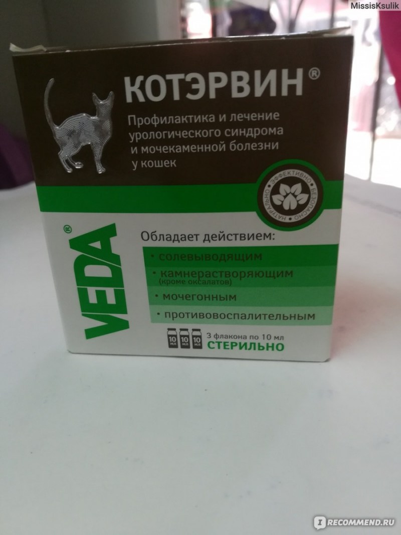 Цистит у кота котэрвин
