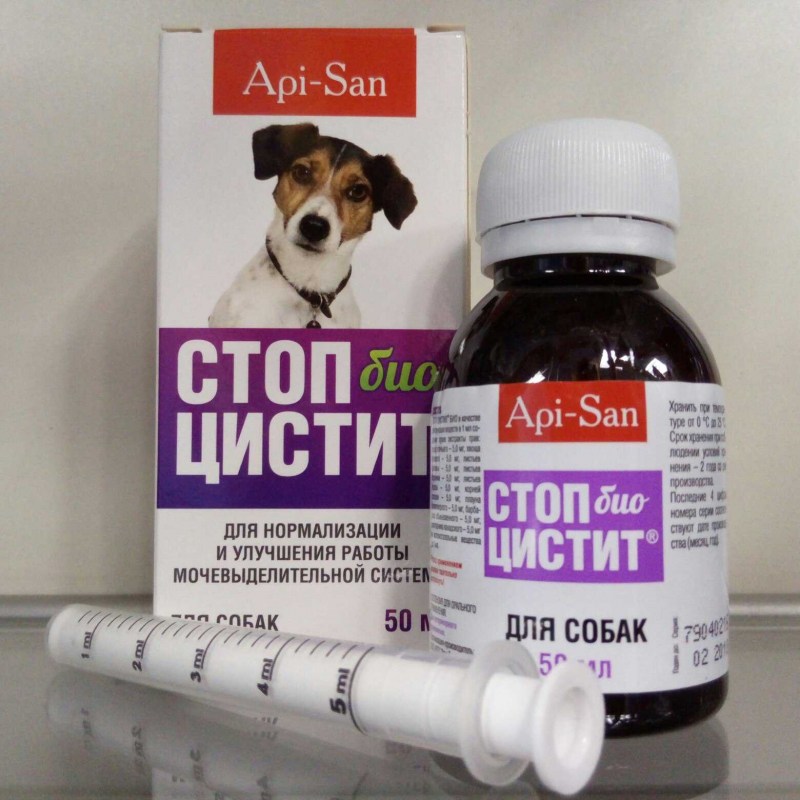 Таблетки при цистите у собак