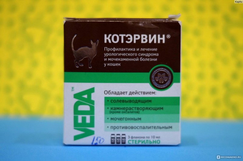 Лекарство от мочекаменной болезни у котов антибиотик