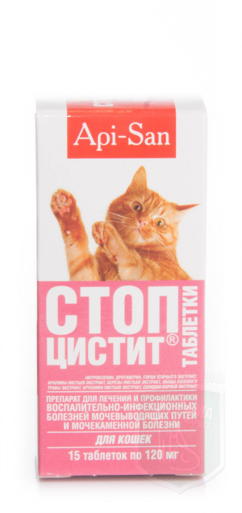 Кошка врач