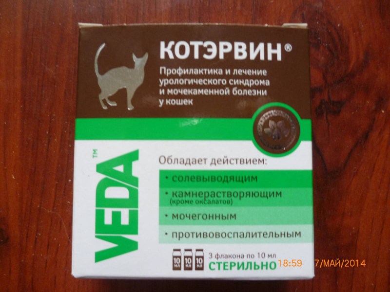 Синулокс для кошек при цистите