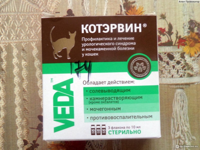 Таблетки для кошек при мочекаменной болезни