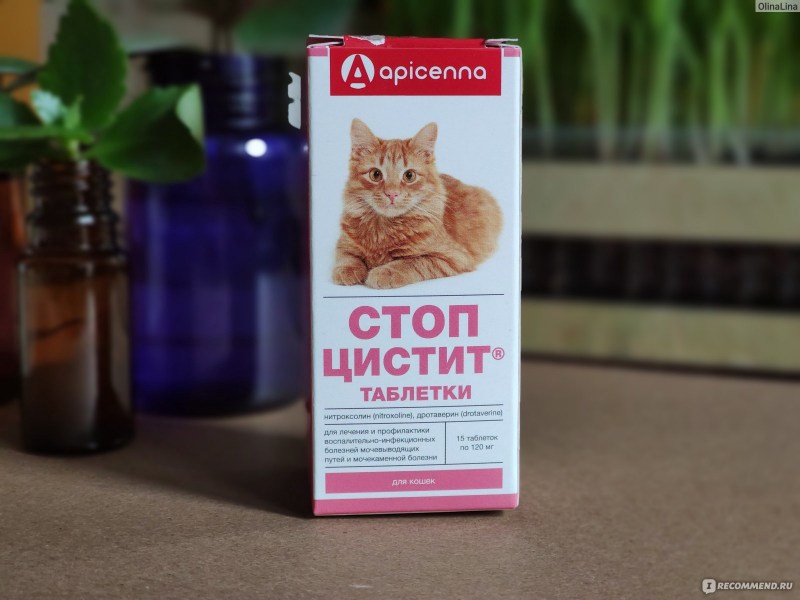 Стоп цистит для котов суспензия