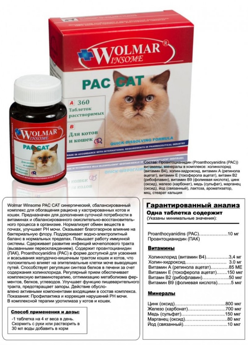 Мочекаменная болезнь у кота симптомы