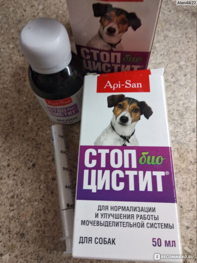 Как понять что у кота мочекаменная болезнь
