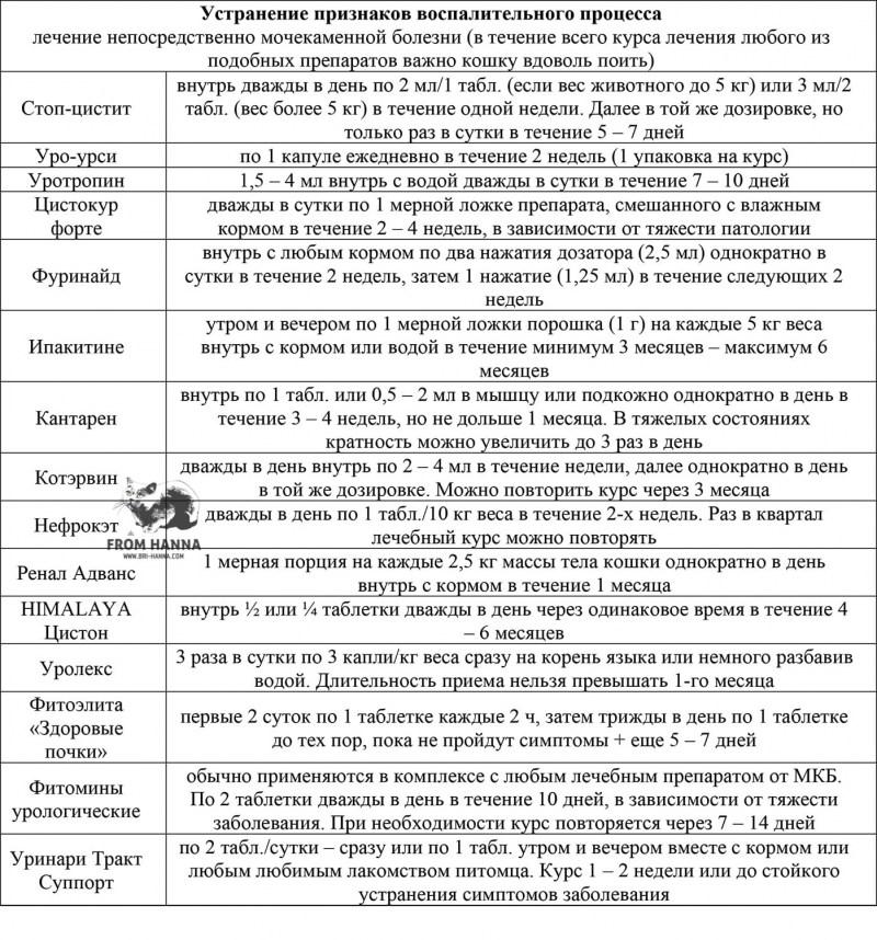 Укол коту от цистита