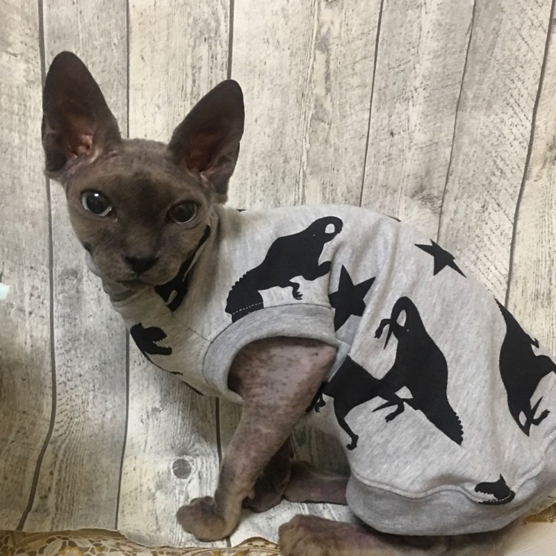 Костюмы для сфинксов