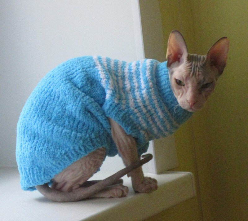 Вязаная кофточка для кота