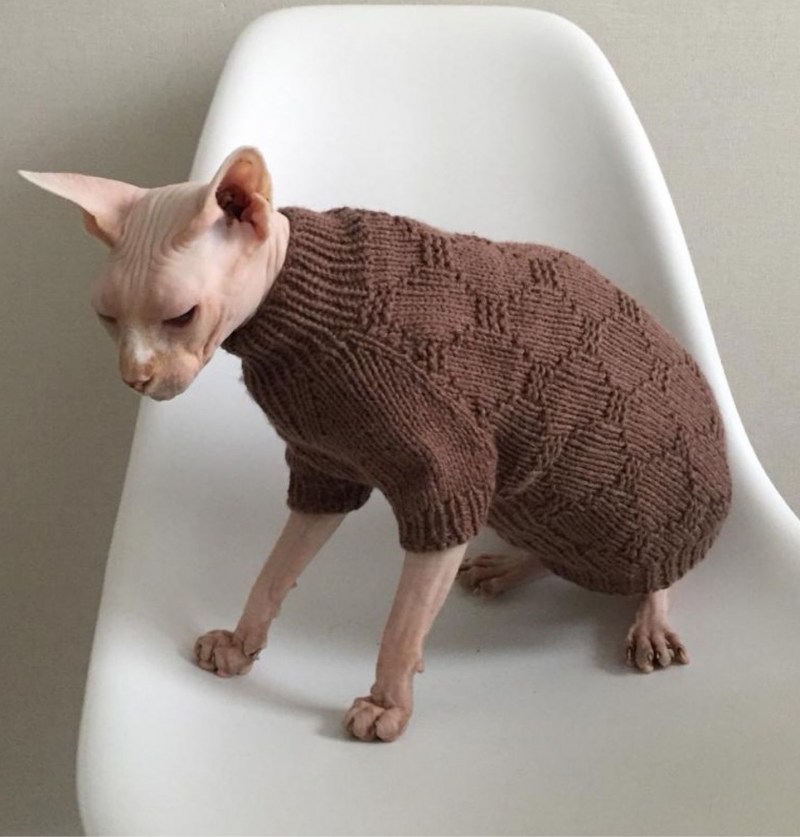 Свитер для кошки