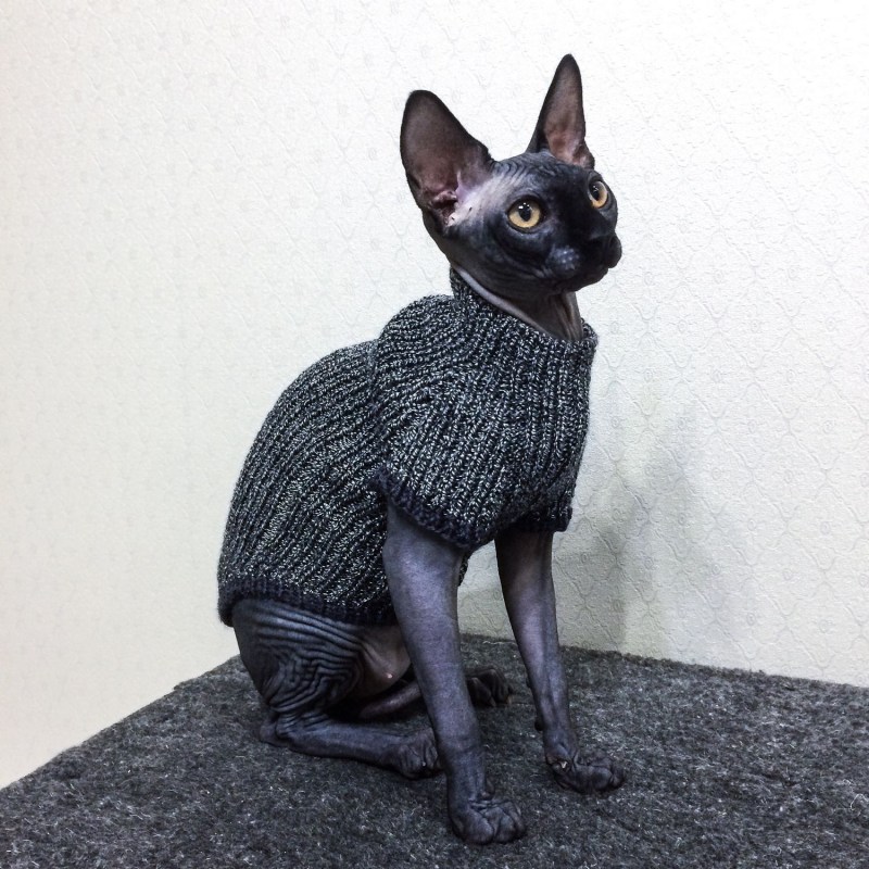 Костюмы для сфинксов вязаные