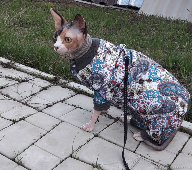Комбинезон для сфинкса