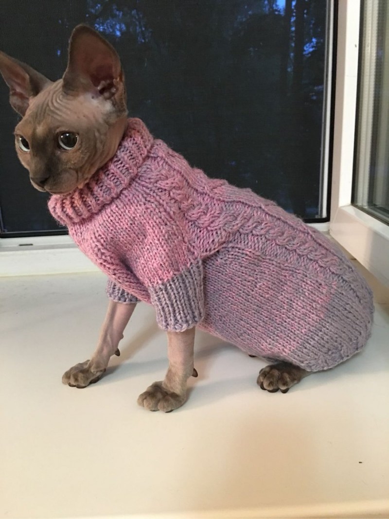 Свитер для кошки