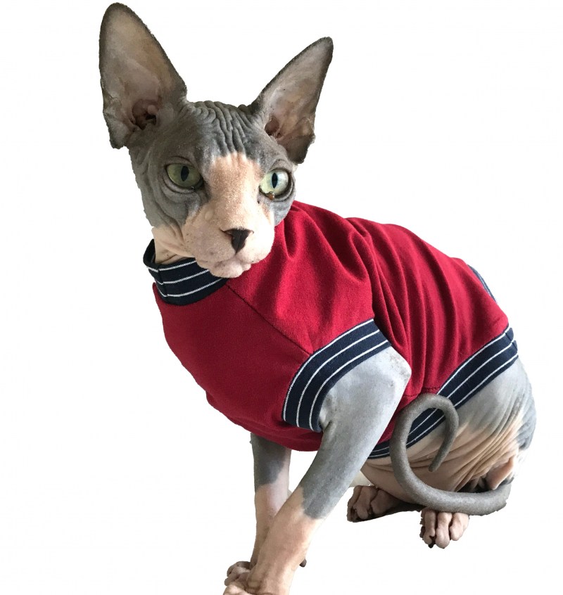 Костюмы для лысых кошек