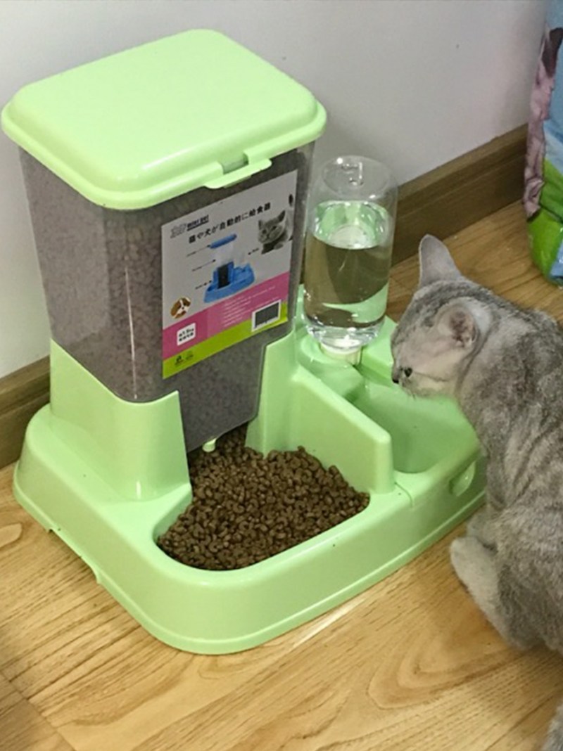 Автокормушка для кота