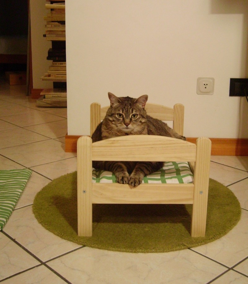 Лежак cozy Dog