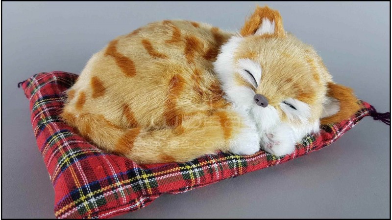 Спящий кот на подушке