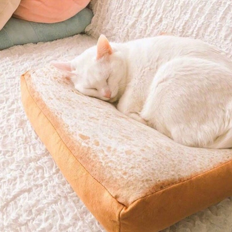 Котик лежит на подушке