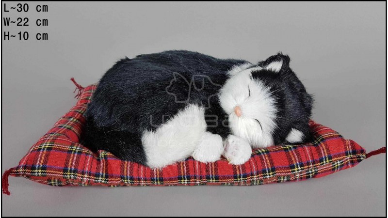 Спящие котики на подушке