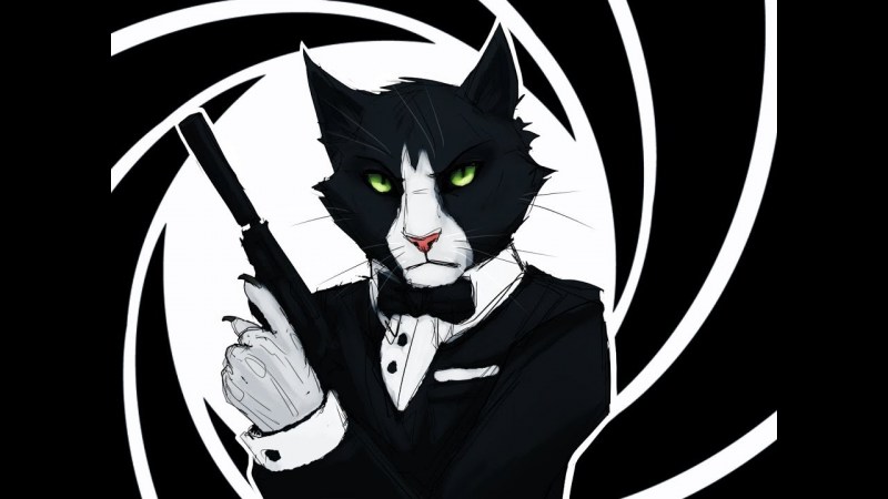 Кот в костюме с галстуком