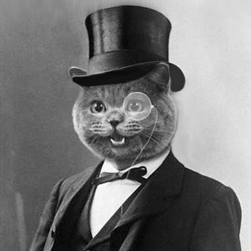 Кот инвестор