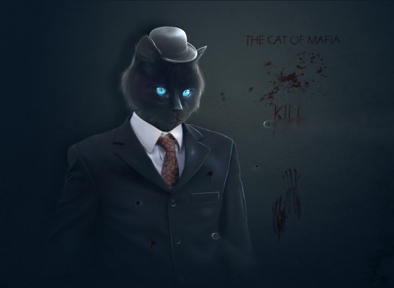 Коты в шляпах