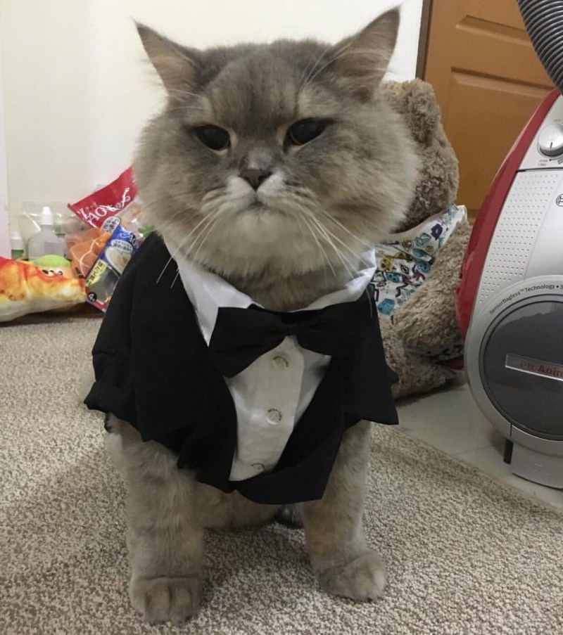 Гарфилд Король