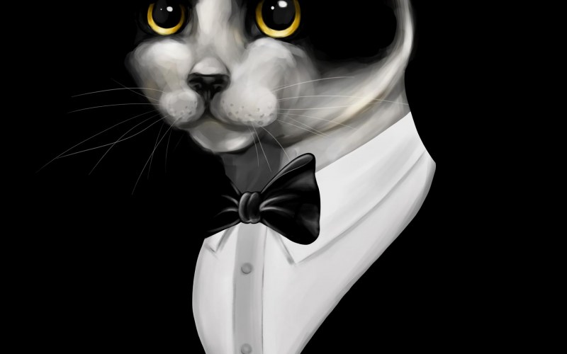 Деловой кот