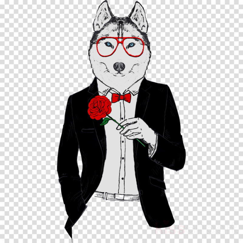 Кот гангстер