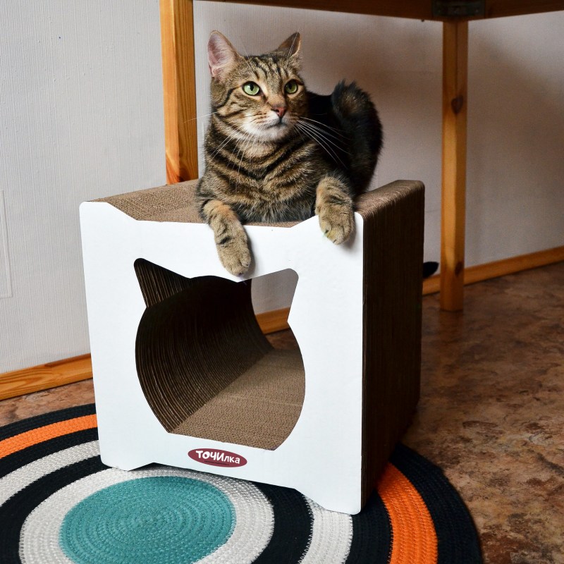 Котодом домики для кошек