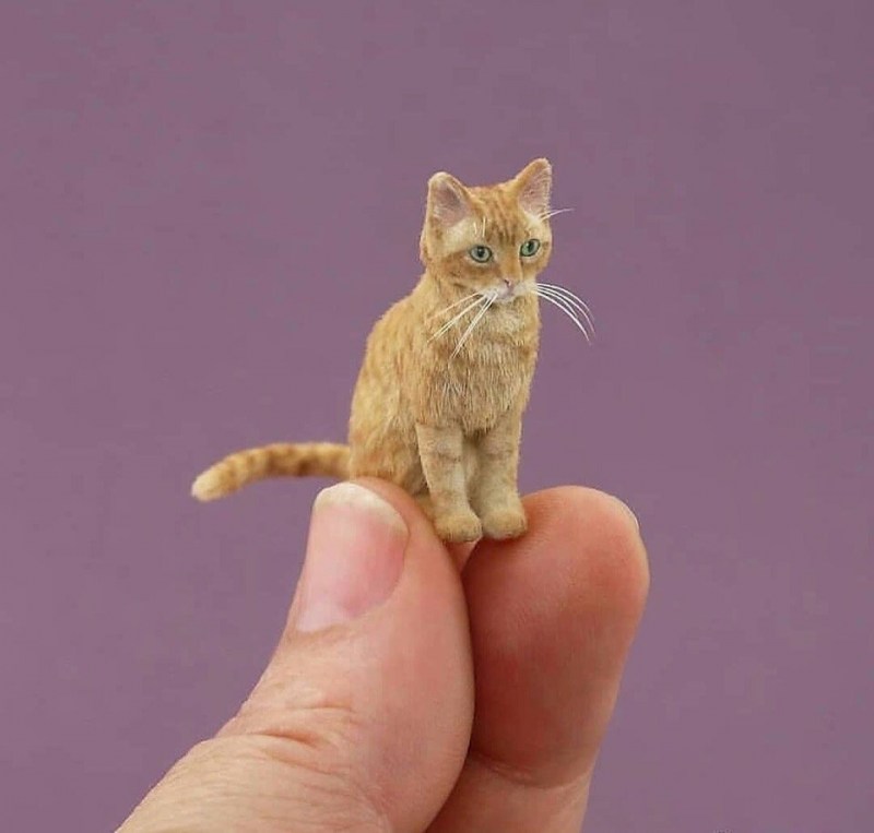 Миниатюрные котята