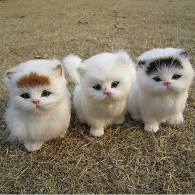 Мини котята