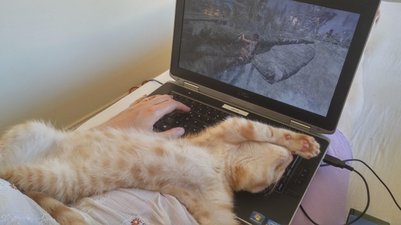Кот с хозяином за компом