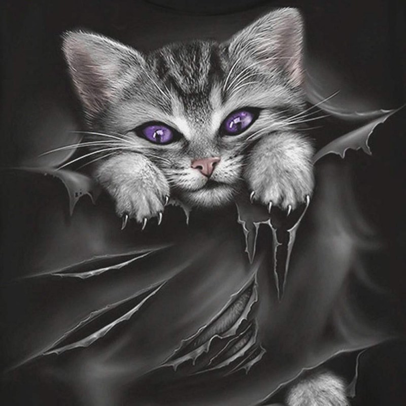 Готический кот