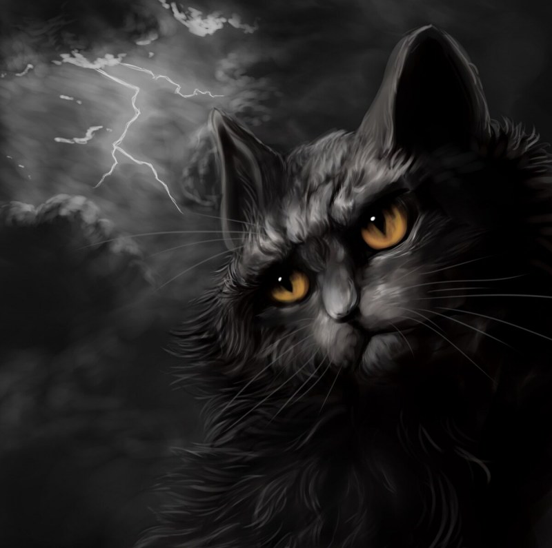 Черная кошка арт