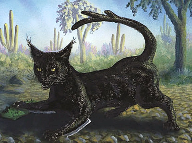 Коргоруши мифология
