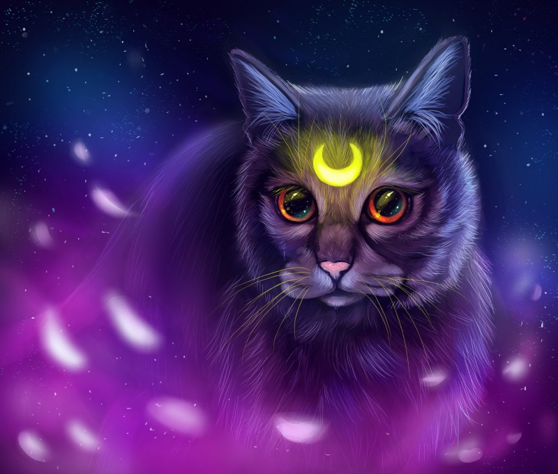 Фэнтези кошки