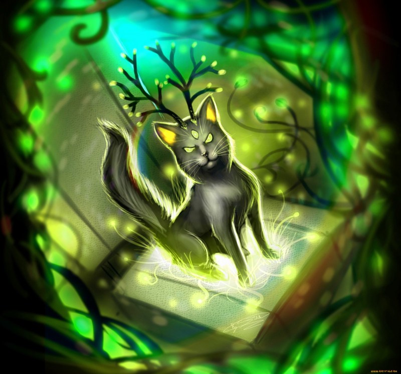 Магический кот