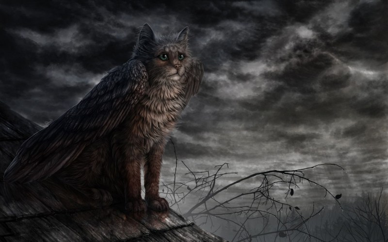 Мистический кот