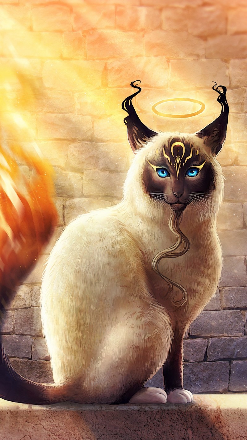 Фэнтези кошки