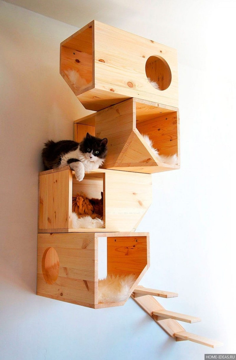 Кошачий дом catissa