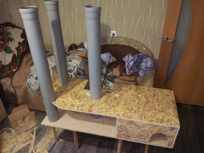 Кошачий домик
